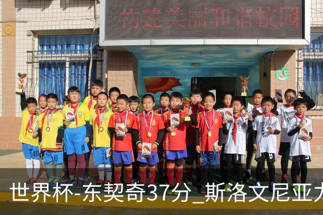 世界杯-东契奇37分 斯洛文尼亚力克委内瑞拉