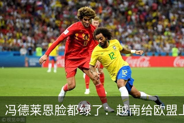 冯德莱恩脸都绿了：越南给欧盟上了一课：什么叫 “中国力量”！