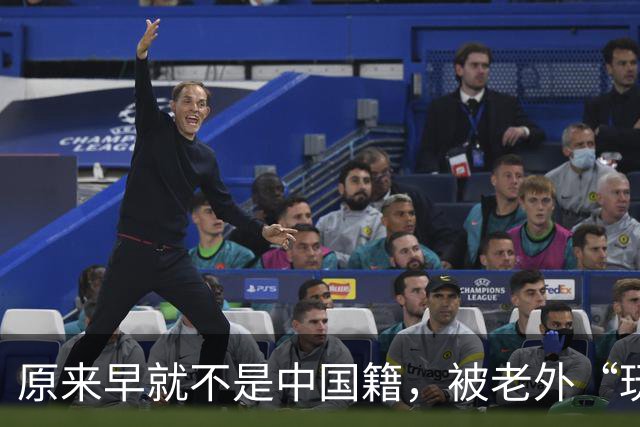 原来早就不是中国籍，被老外“玩腻”后回国的郑绪岚，现在怎样？