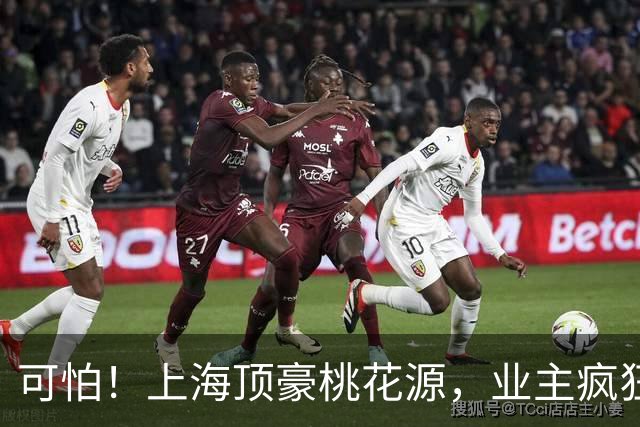 可怕！上海顶豪桃花源，业主疯狂降价卖房…