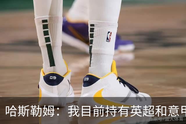 哈斯勒姆：我目前持有英超和意甲两家足球俱乐部的股份