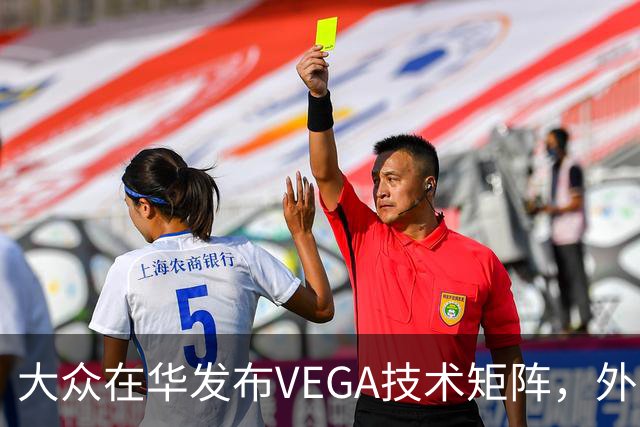 大众在华发布VEGA技术矩阵，外资车企里独一份