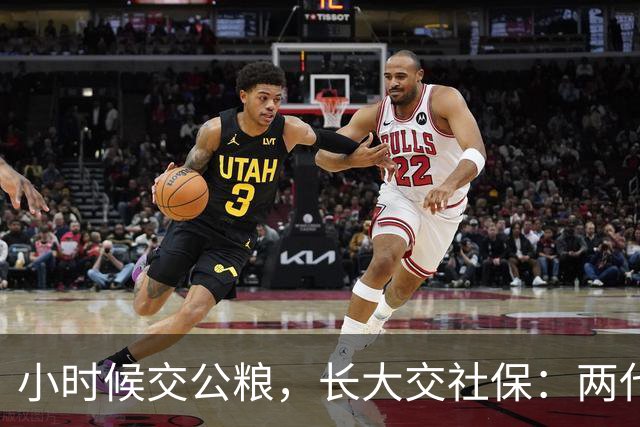 小时候交公粮，长大交社保：两代人的账，其实是一本账