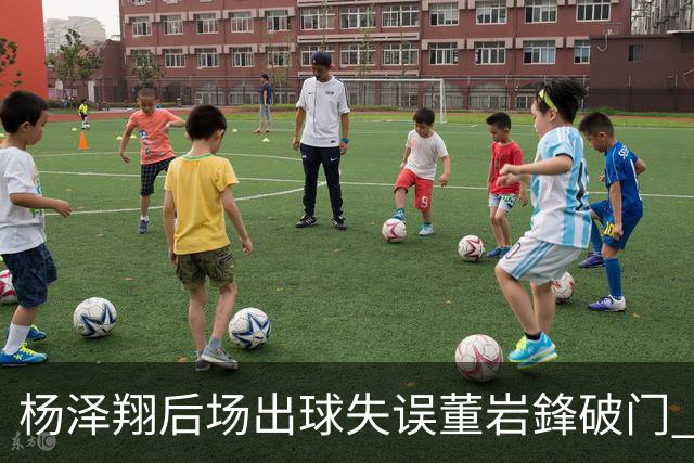 杨泽翔后场出球失误董岩鋒破门 申花0-1落后蓉城