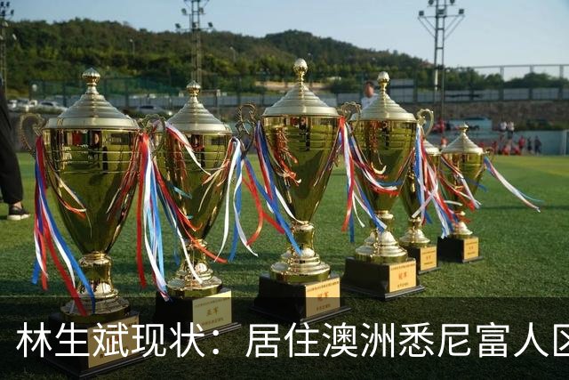 林生斌现状：居住澳洲悉尼富人区，儿女双全，现任是前公司员工