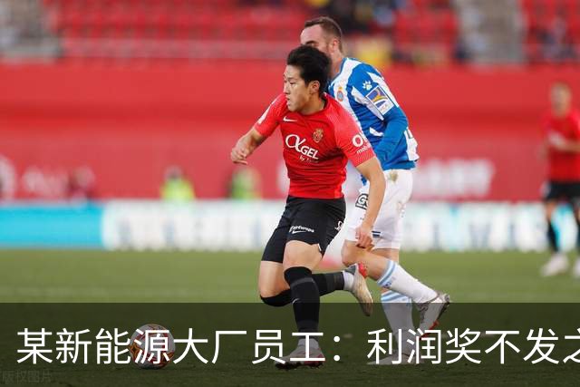 某新能源大厂员工：利润奖不发之后，确诊抑郁了