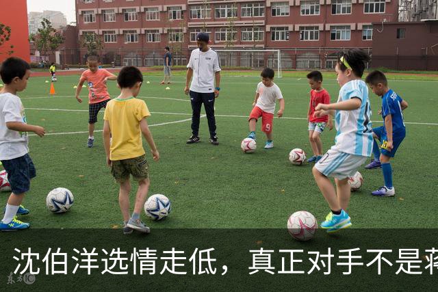 沈伯洋选情走低，真正对手不是蒋万安，也不是大陆，而是赖清德？