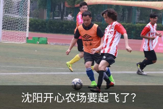 沈阳开心农场要起飞了？