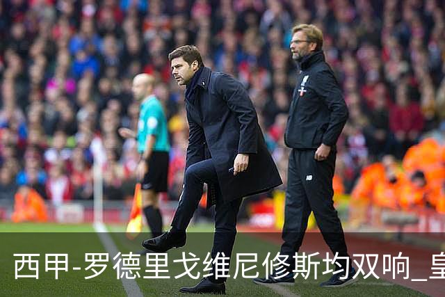 西甲-罗德里戈维尼修斯均双响 皇马5-1瓦伦西亚