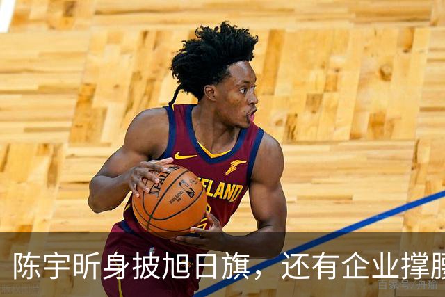 陈宇昕身披旭日旗，还有企业撑腰，汤家凤怒喊露头就打