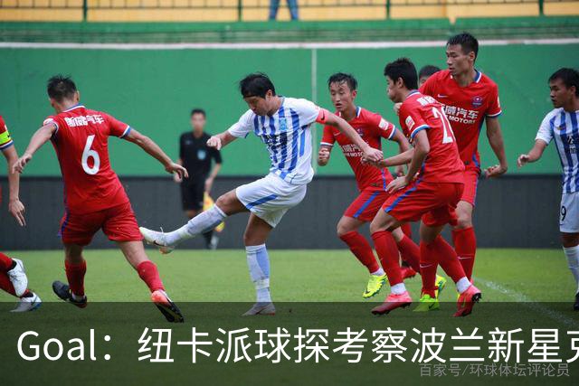 Goal：纽卡派球探考察波兰新星克日扎诺夫斯基，冬窗推进转会